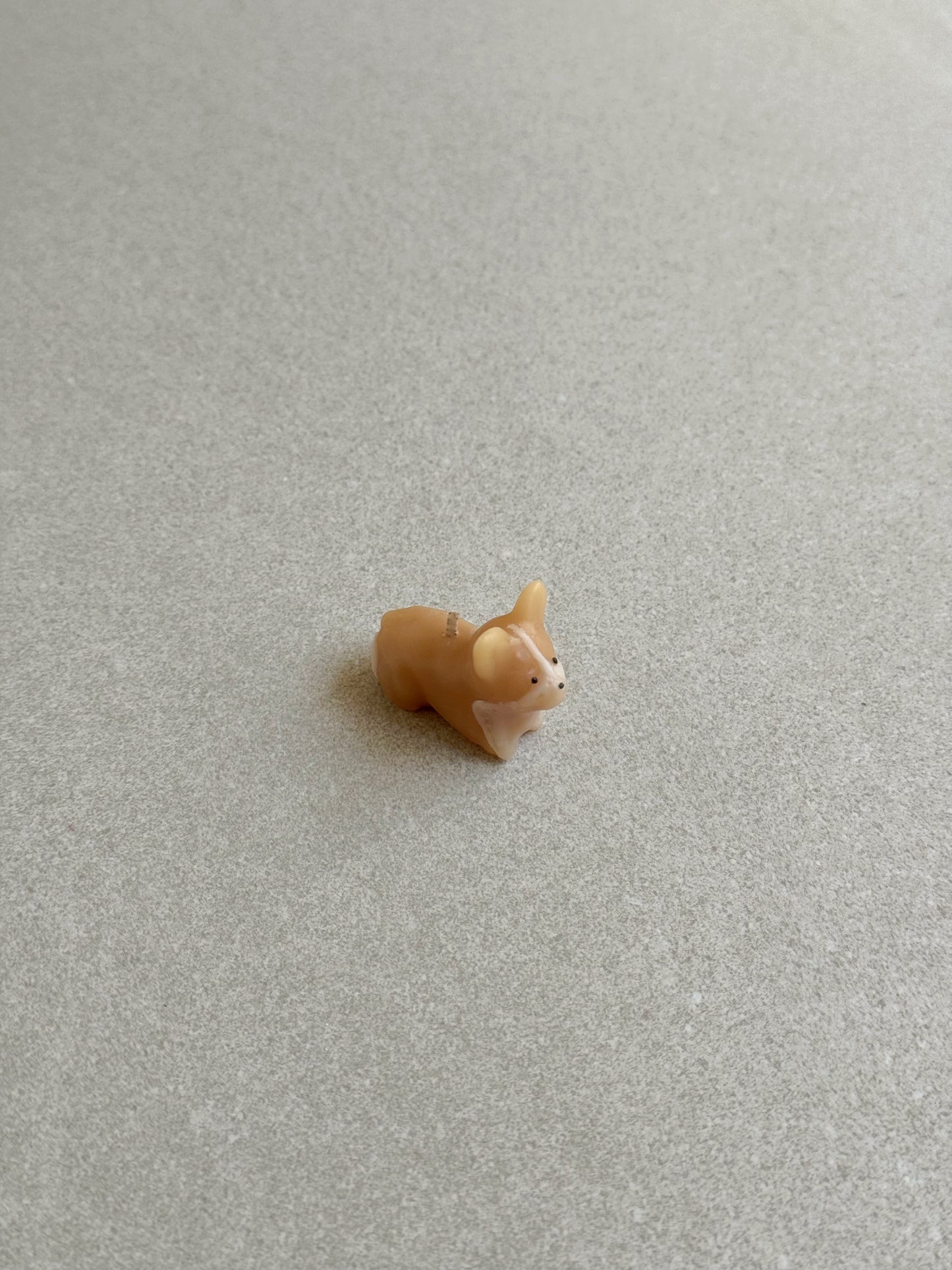 Barkday Candle - Corgi