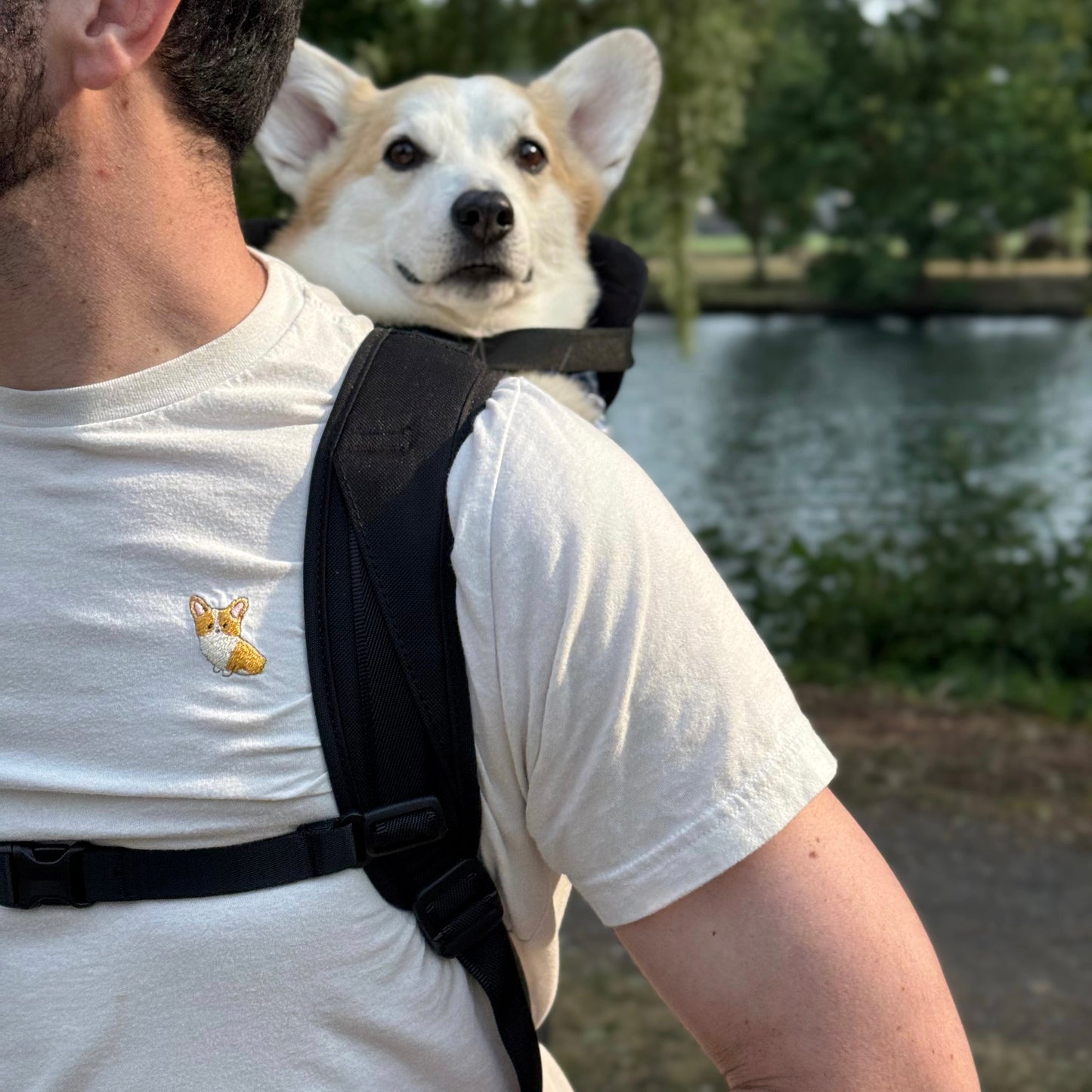 Corgi T shirt