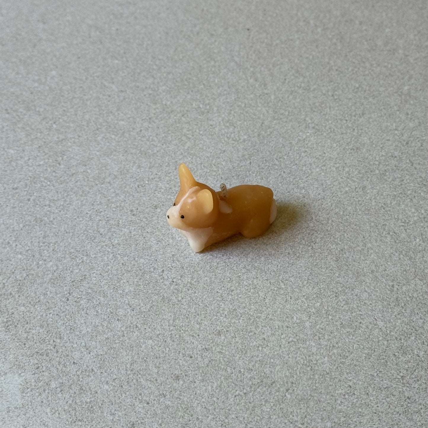 Barkday Candle - Corgi