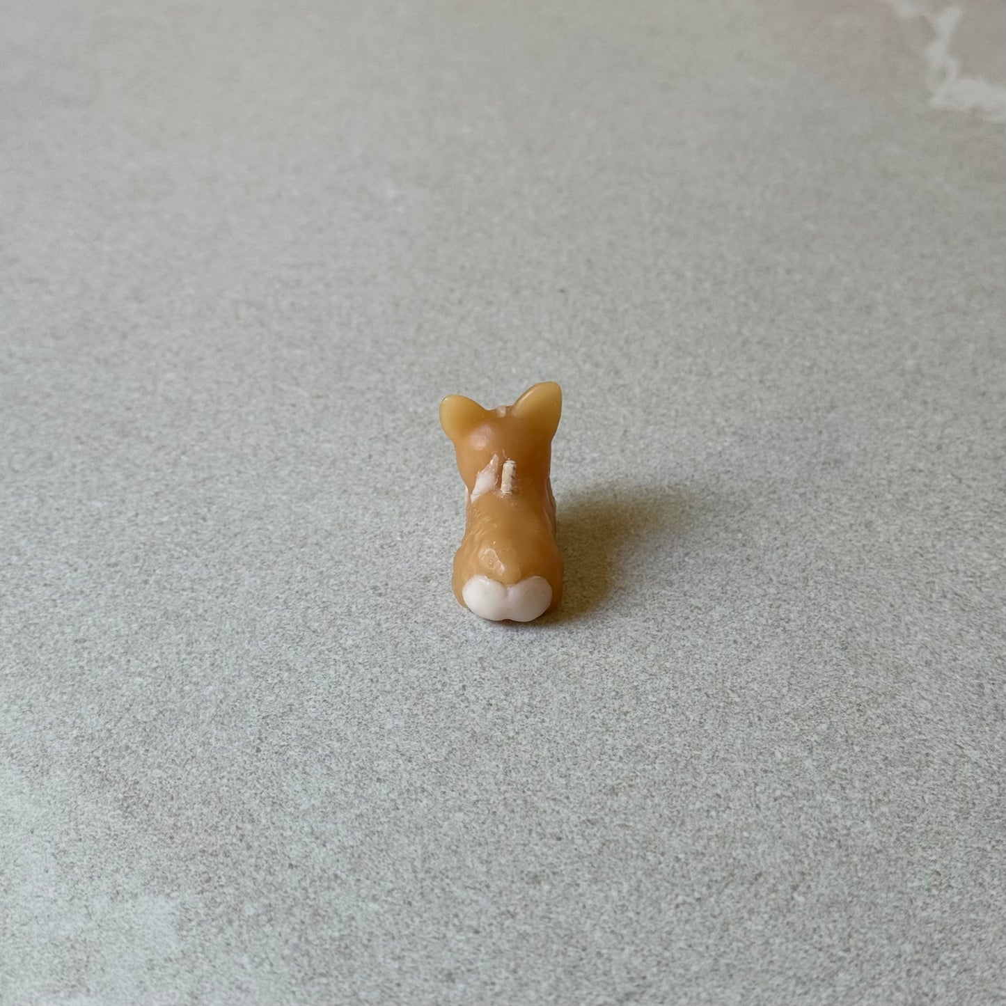 Barkday Candle - Corgi