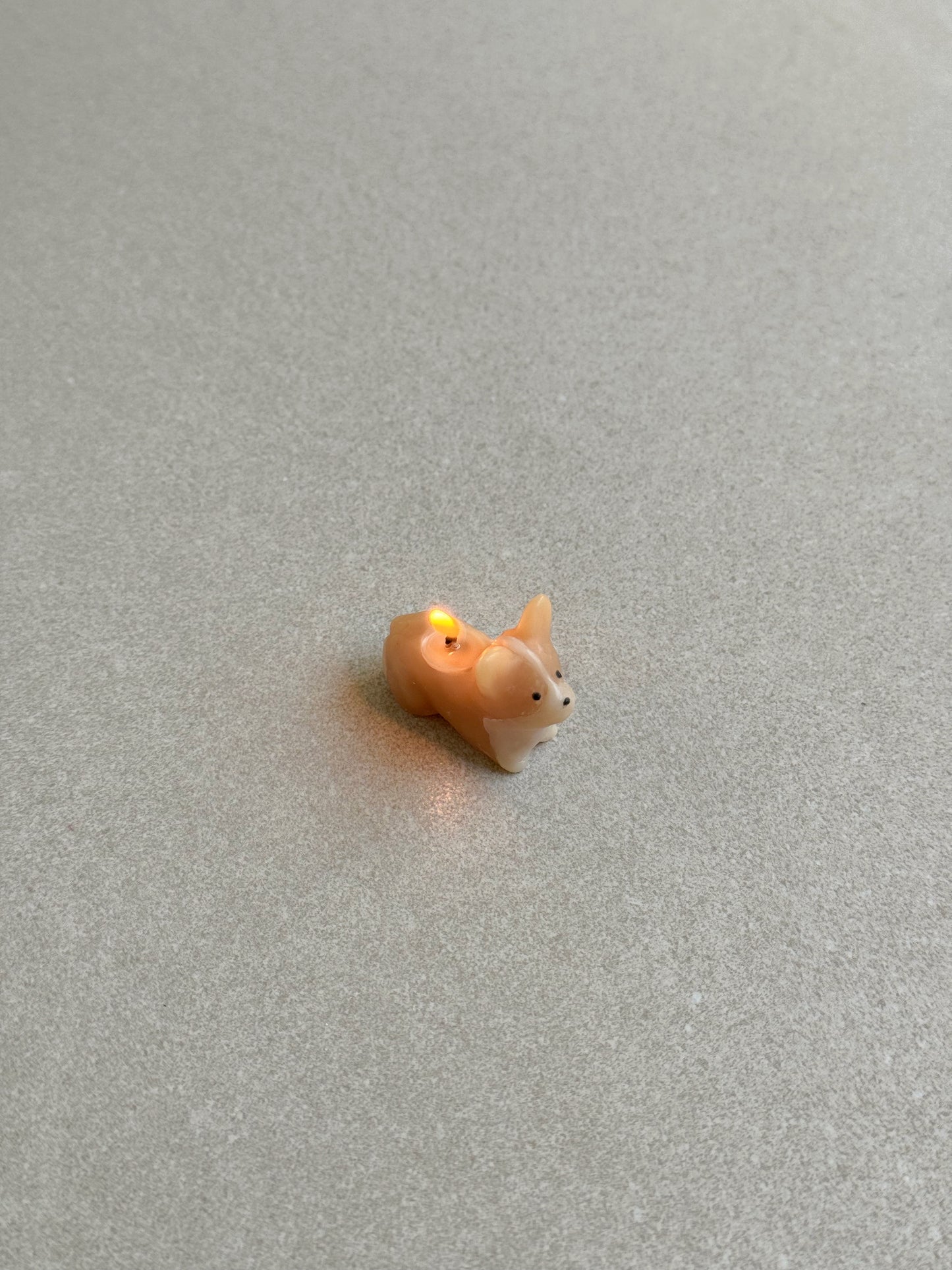 Barkday Candle - Corgi